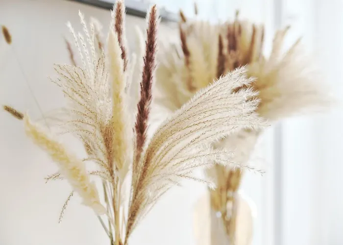 Boho Appartement